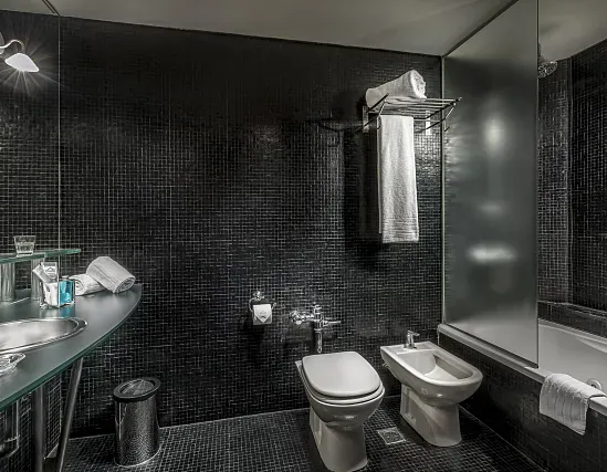 Suite Lujo
